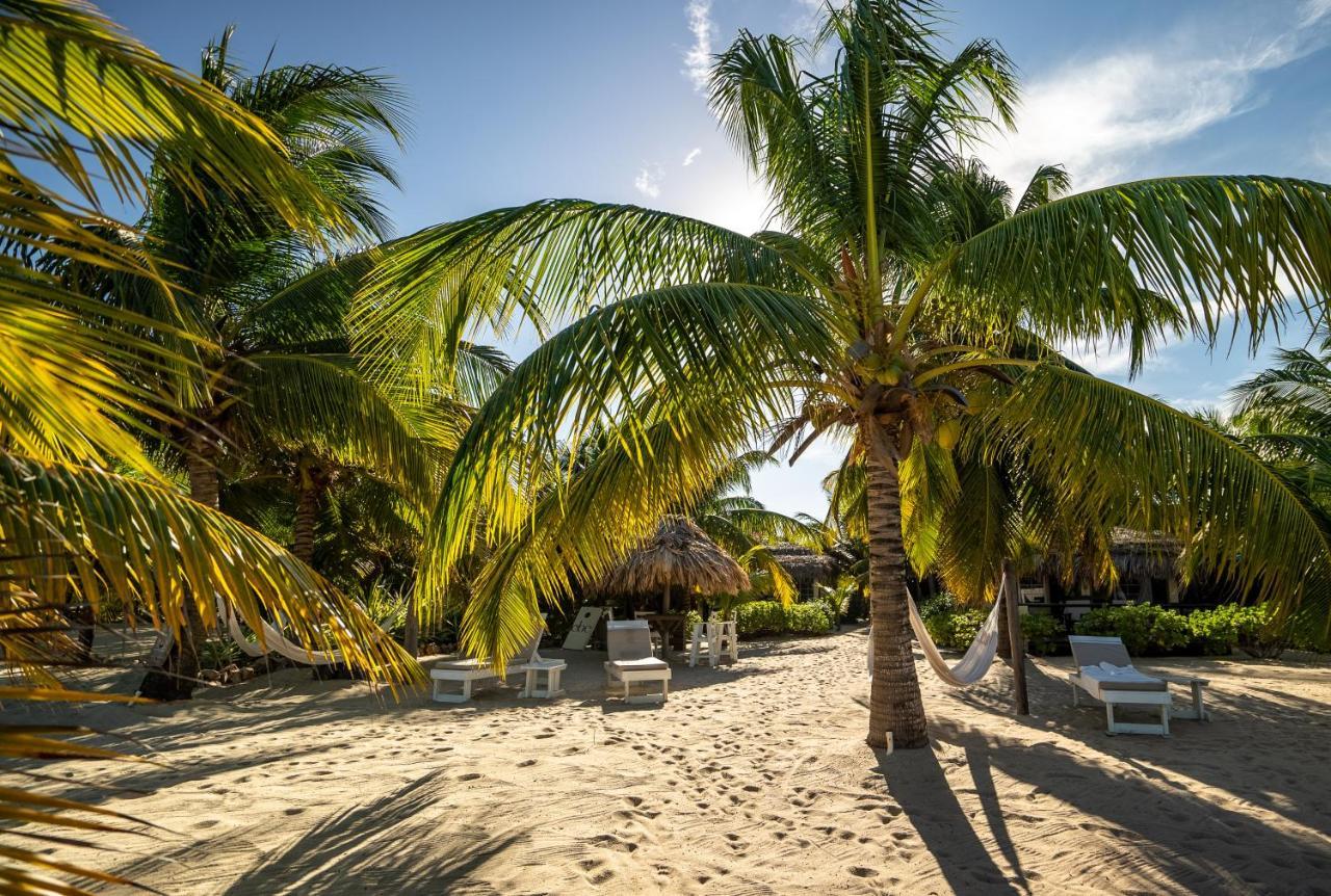 Caribbean Beach Cabanas Placencia Exteriér fotografie