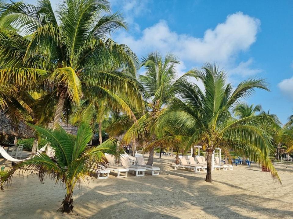 Caribbean Beach Cabanas Placencia Exteriér fotografie