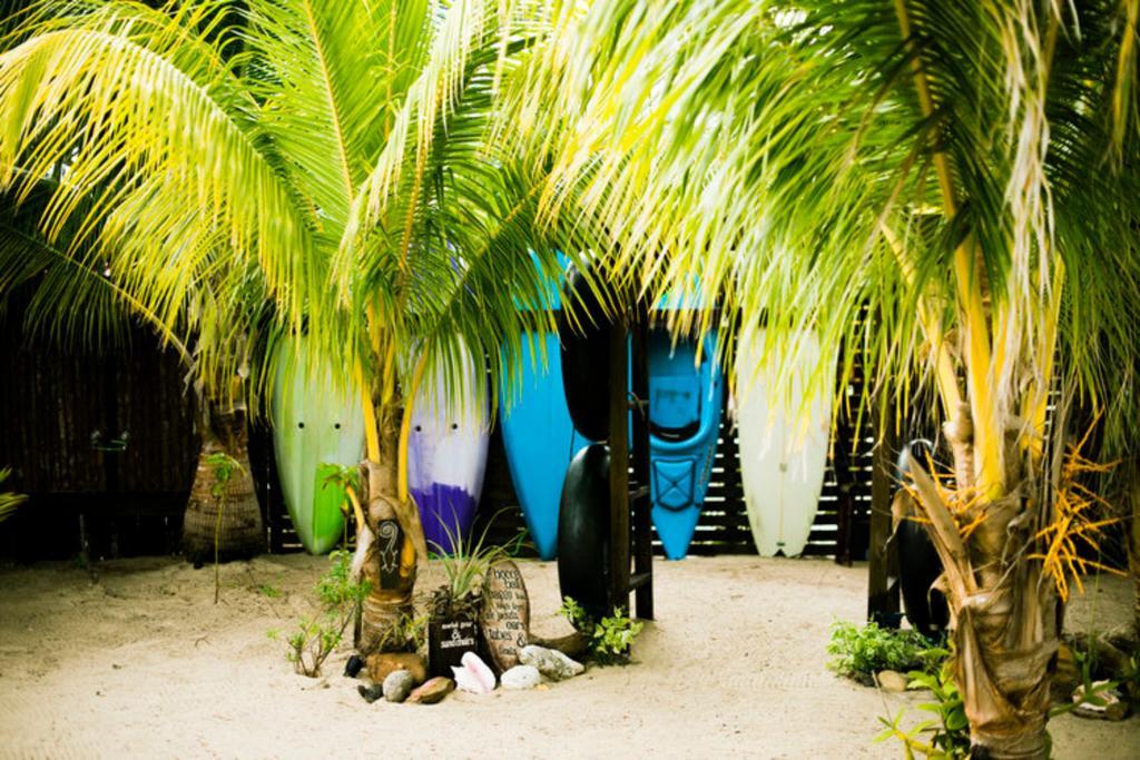 Caribbean Beach Cabanas Placencia Exteriér fotografie