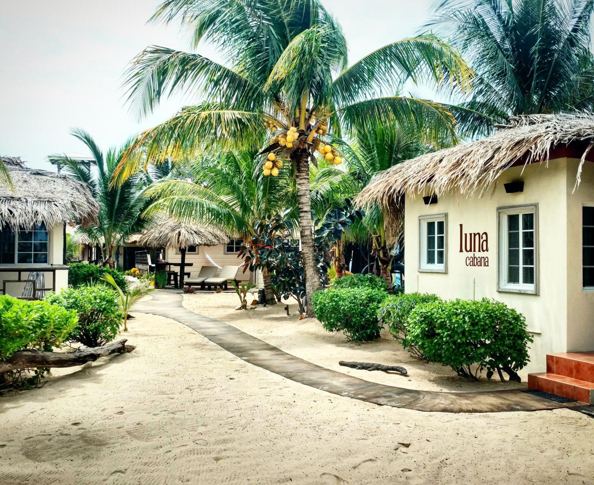 Caribbean Beach Cabanas Placencia Exteriér fotografie